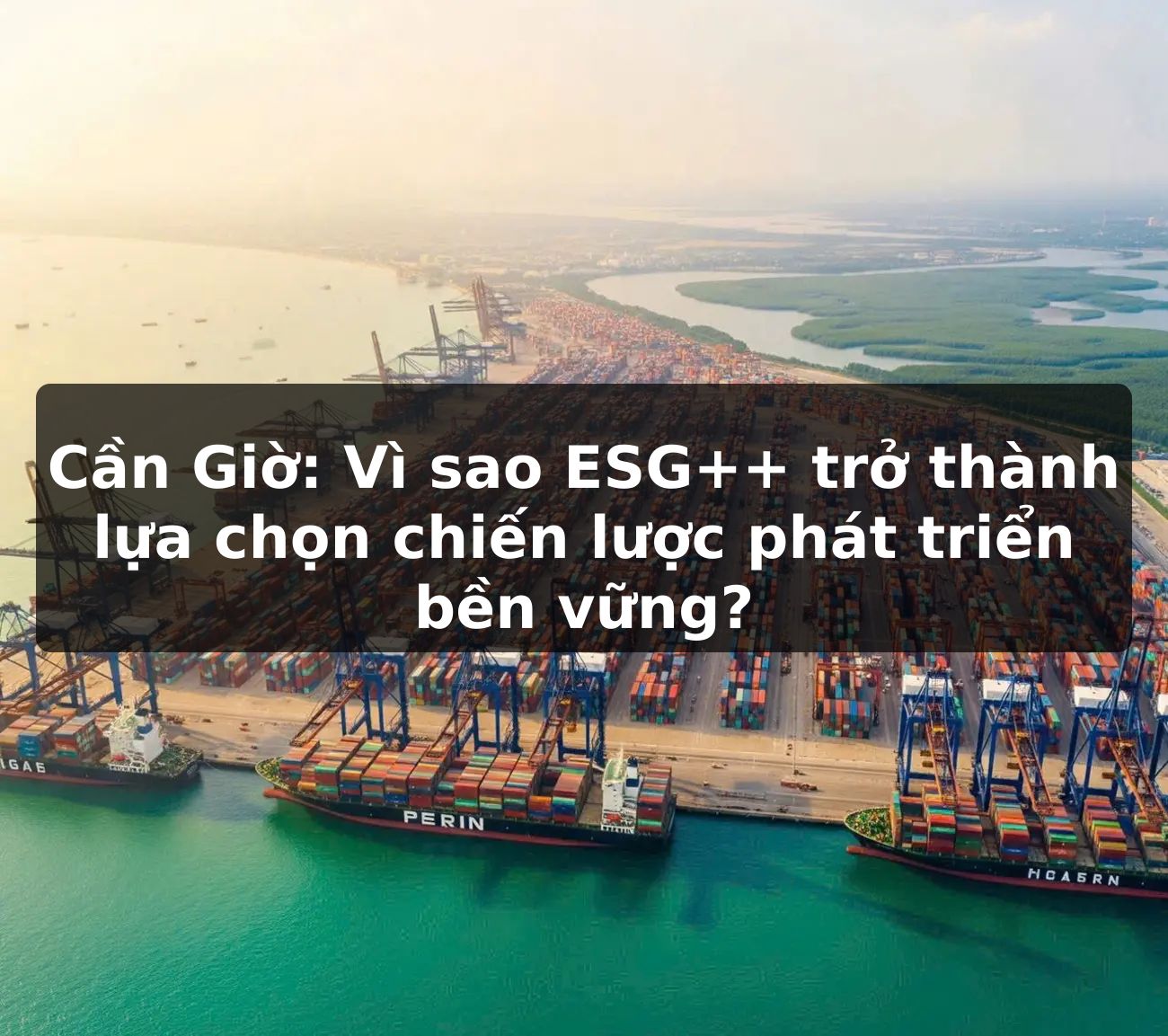 Cần Giờ: Vì sao ESG++ trở thành lựa chọn chiến lược phát triển bền vững?