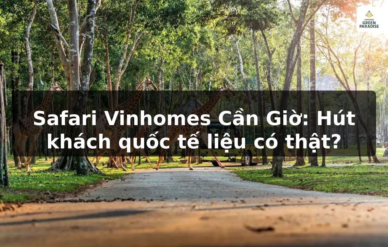 Safari Vinhomes Cần Giờ: Hút khách quốc tế liệu có thật?